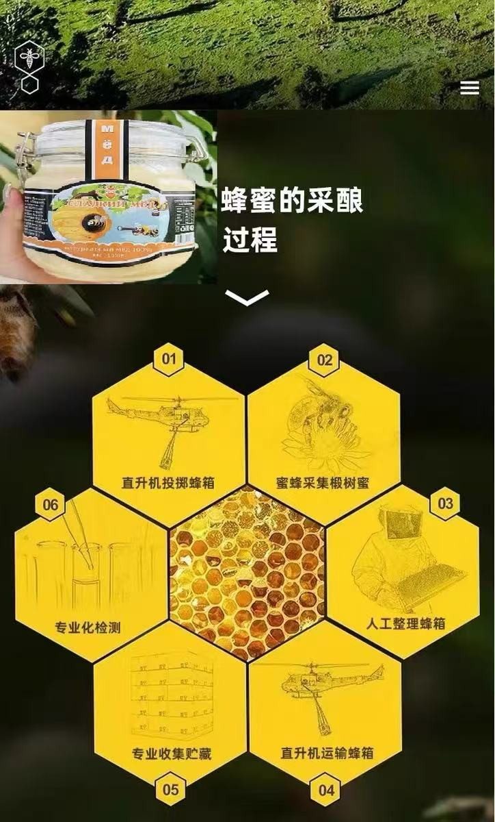 杰克熊 俄罗斯望远蜂黑原装进口椴树蜂蜜1000g/瓶