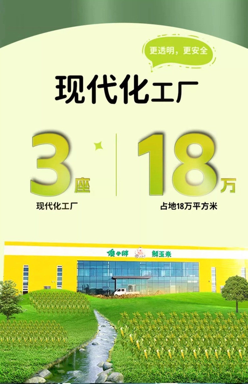 吕大个 甄选内蒙傻小胖玉米新鲜甜糯健身减脂粗粮早餐