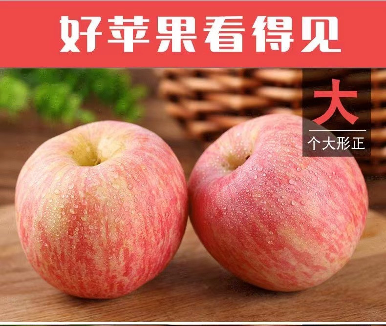 吕大个 【精品红富士苹果】正宗山东烟台红富士苹果4.5斤脆甜多汁