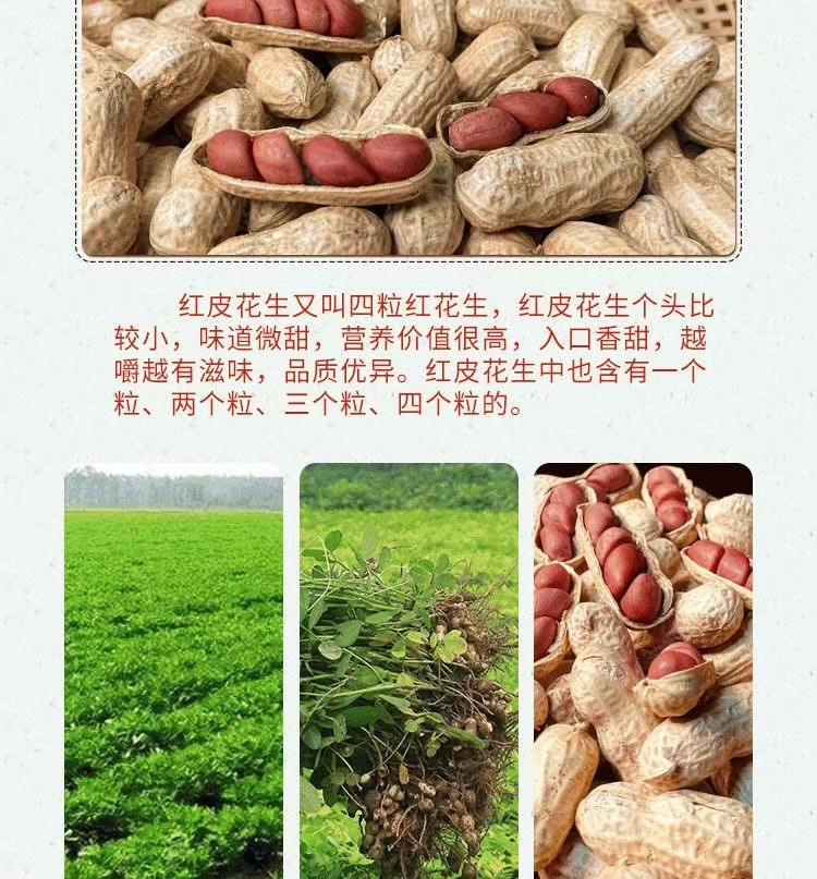 花生大掌柜 红皮花生新货原味炒熟带壳花生500g/袋健康零添加