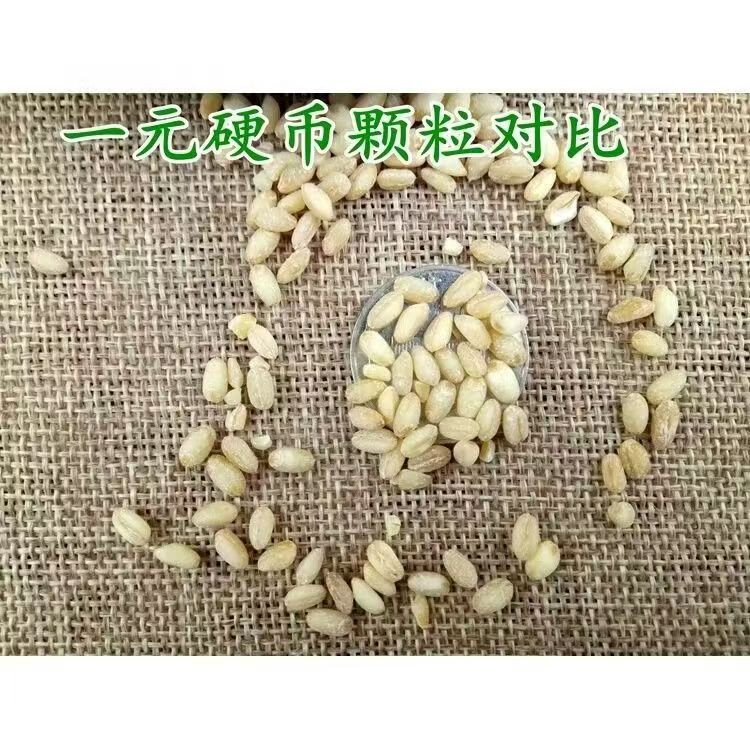 李家老碾子 小麦仁去皮优质新麦仁米脱壳带胚芽煮粥饭用1kg