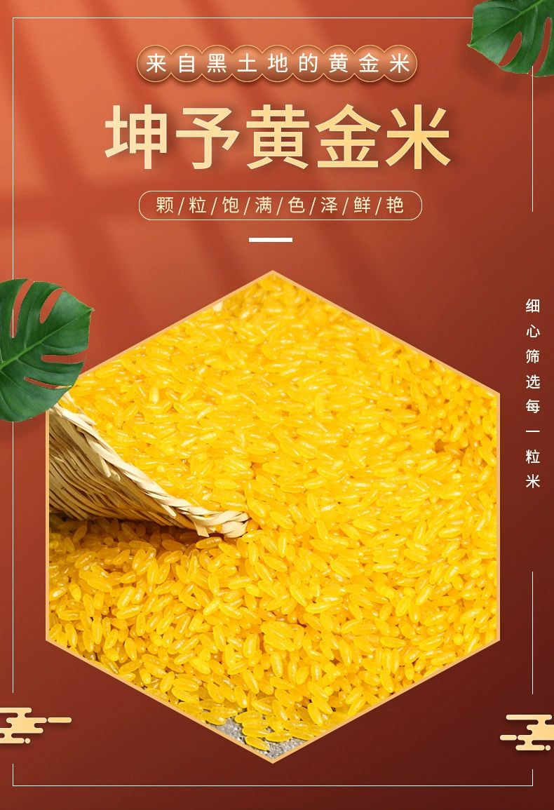坤予 东北特产 黄金米