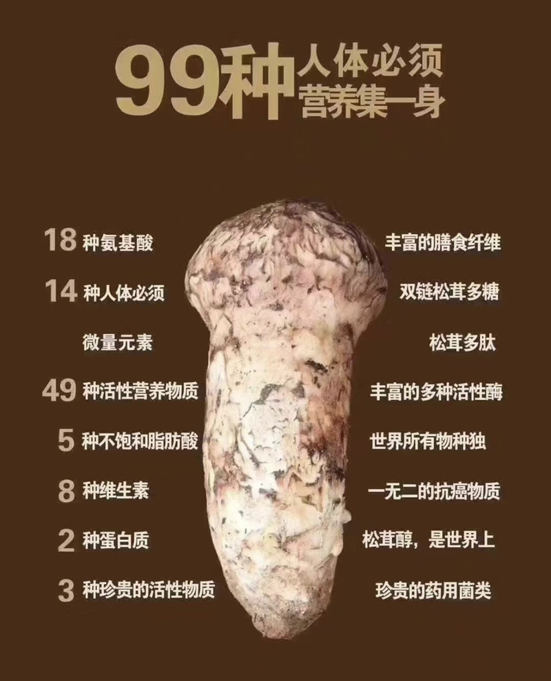 允礼 松茸味黄油苏打饼