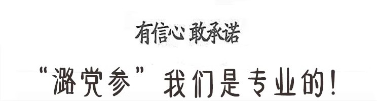  芮溪 今味宜 潞党参大条特精选级无硫上党参野生250g/袋