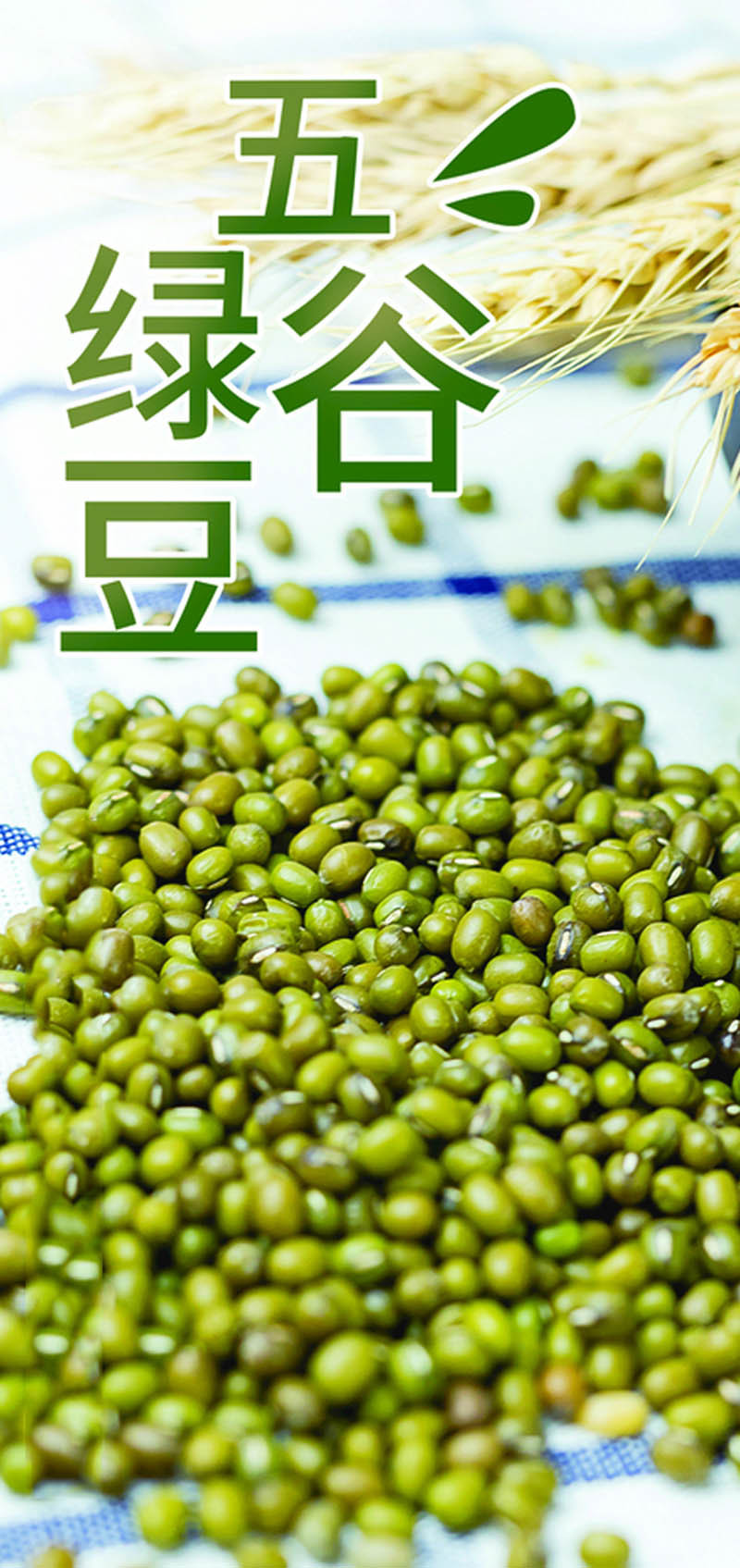  洛阳农品 手绘小镇 绿豆 2.5kg嵩县本地优质农产品有机五谷杂粮