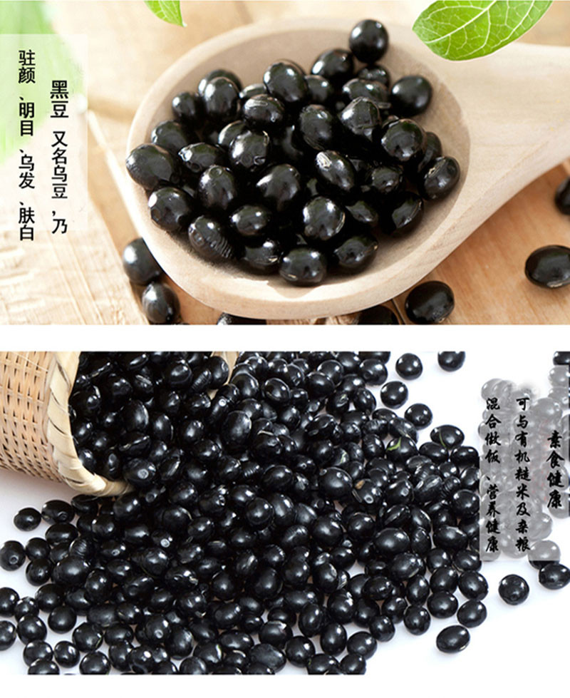  洛阳农品 手绘小镇 黑豆2.5kg嵩县优质有机农产品五谷