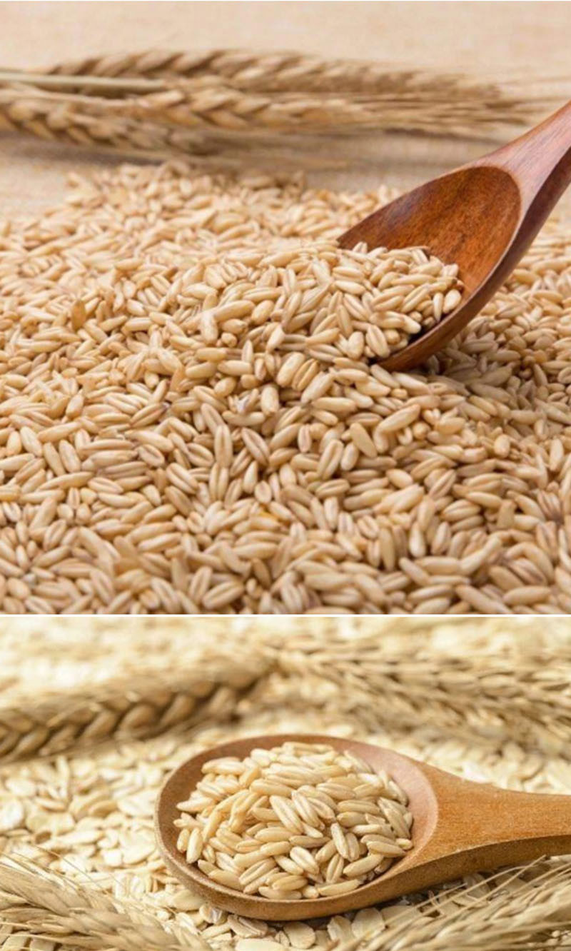  洛阳农品 手绘小镇 燕麦2.5kg 精选有机优质农产品五谷杂粮