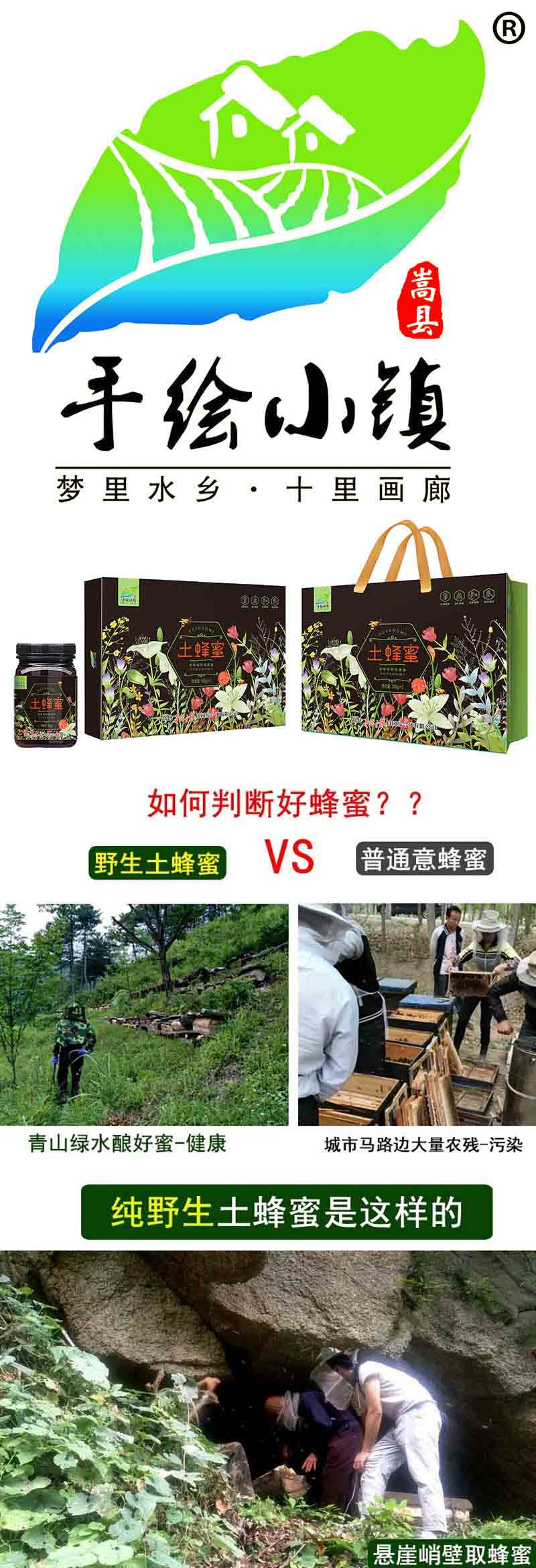  洛阳农品 手绘小镇 农家土蜂蜜500g*2礼盒装嵩县农家散养土蜂蜜