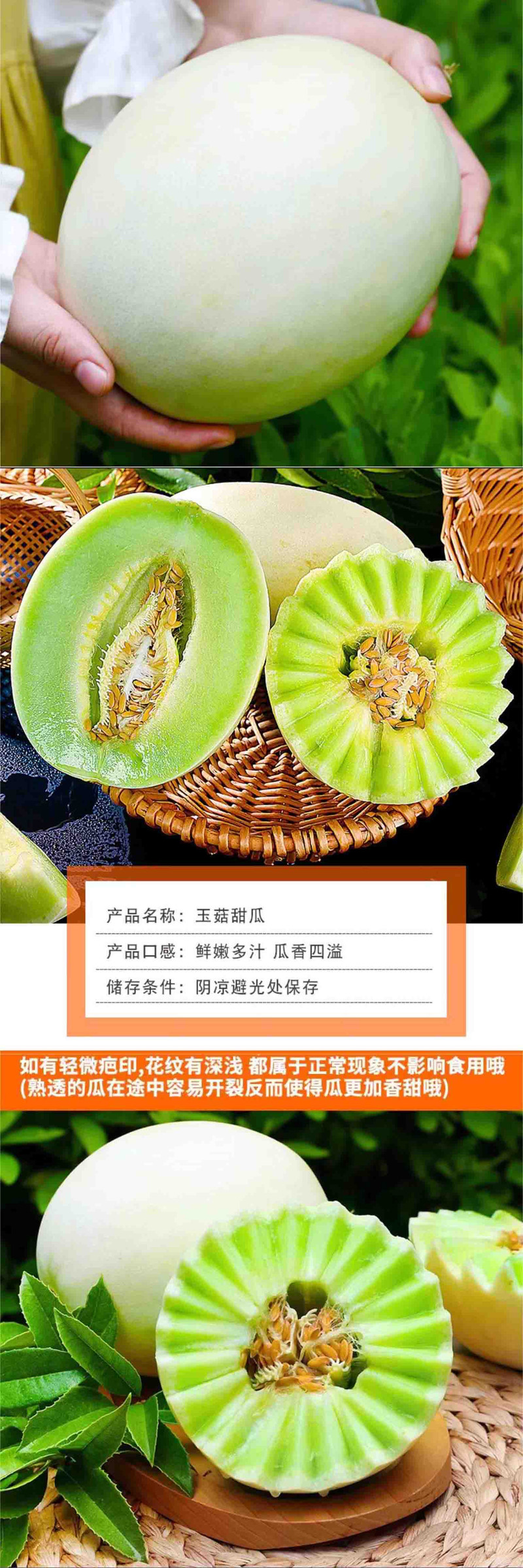  洛阳农品 农家自产 玉茹冰激凌甜瓜8-9斤（精品大果）现摘新鲜水果