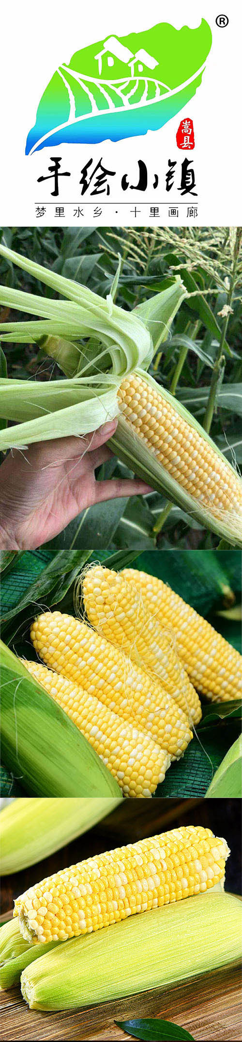  洛阳农品 农家自产 新鲜水果玉米5kg现摘带皮嫩玉米甜玉米