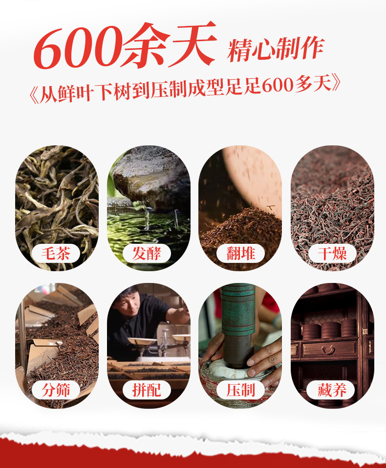 澜沧古茶 2024年澜沧熟普普洱茶礼盒装500克