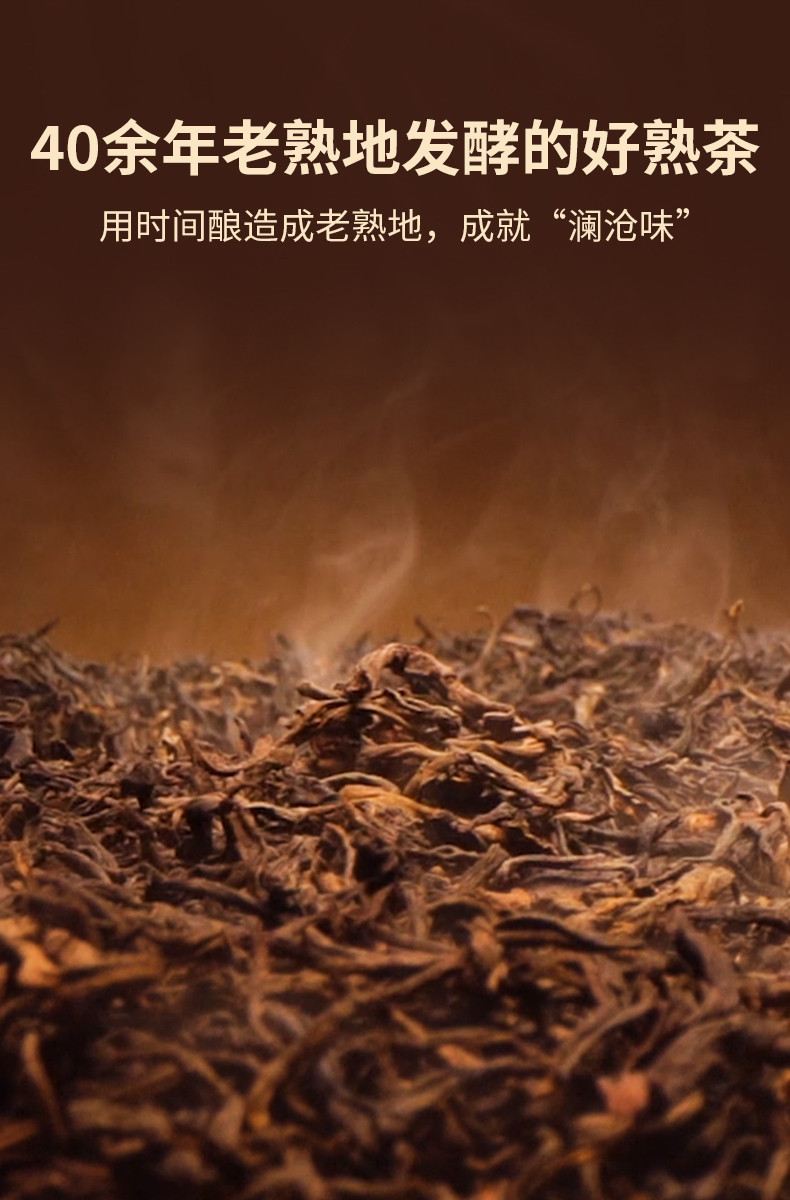 澜沧古茶 六六大顺普洱熟茶40g