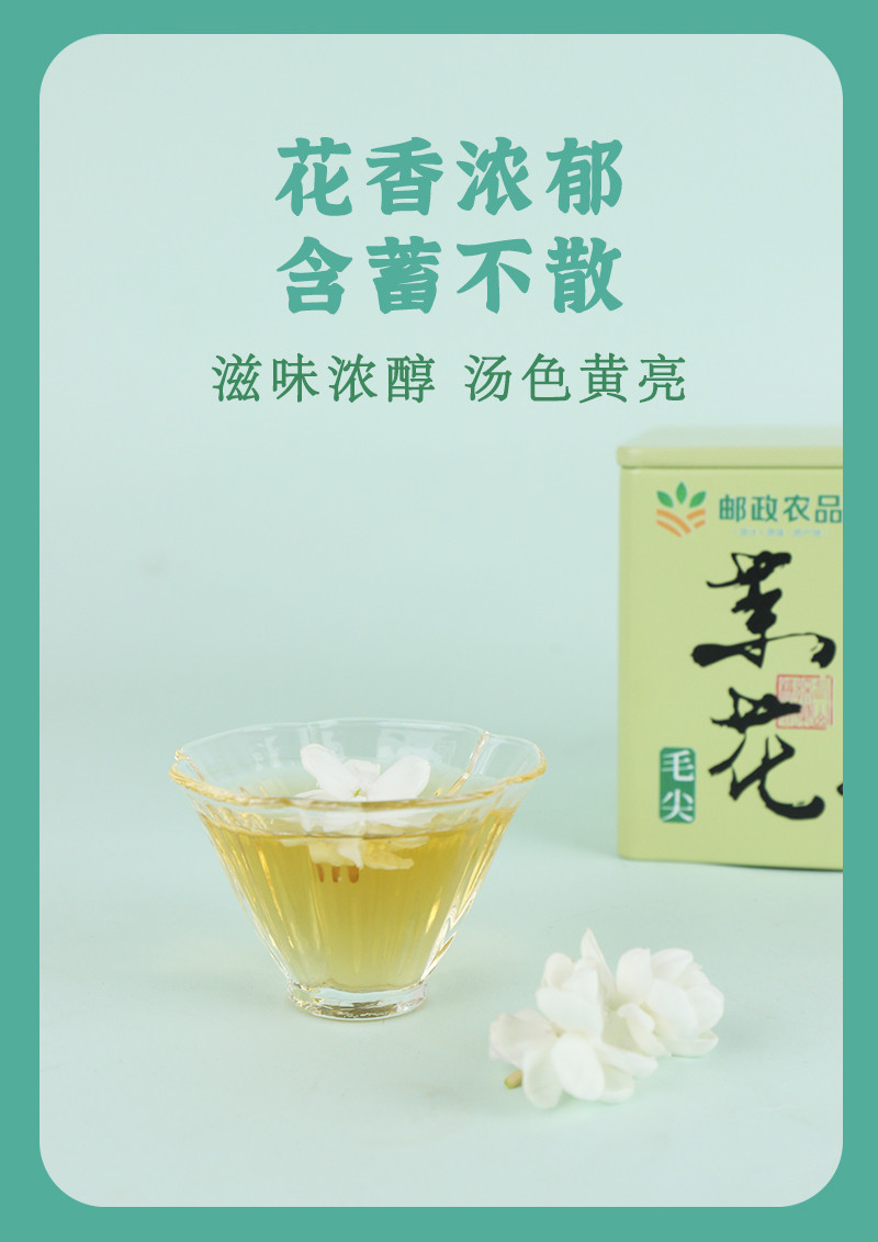 农家自产 横州茉莉花茶毛尖5g*10包（50g/罐）送一袋茉莉花干