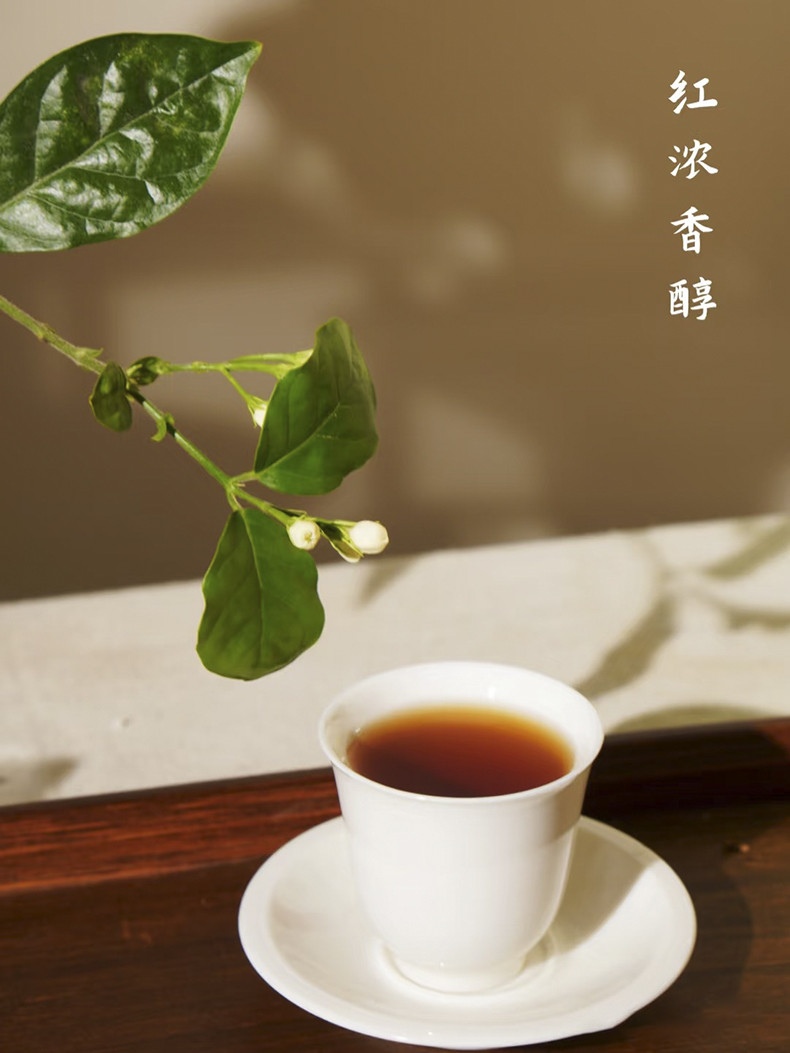 隆盛源 横州市茉莉六堡围炉煮茶款100g/盒