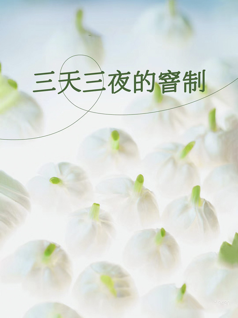 隆盛源 横州市茉莉六堡围炉煮茶款100g/盒