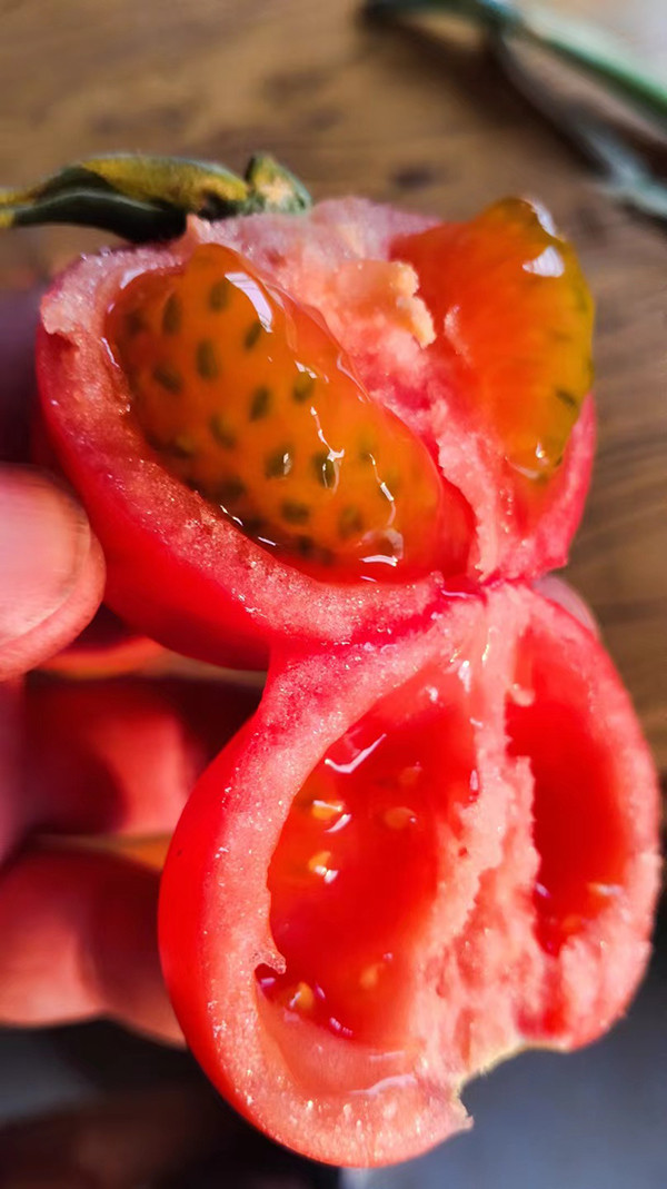 荣食康 喝东阿水长大的新鲜铁皮草莓柿子