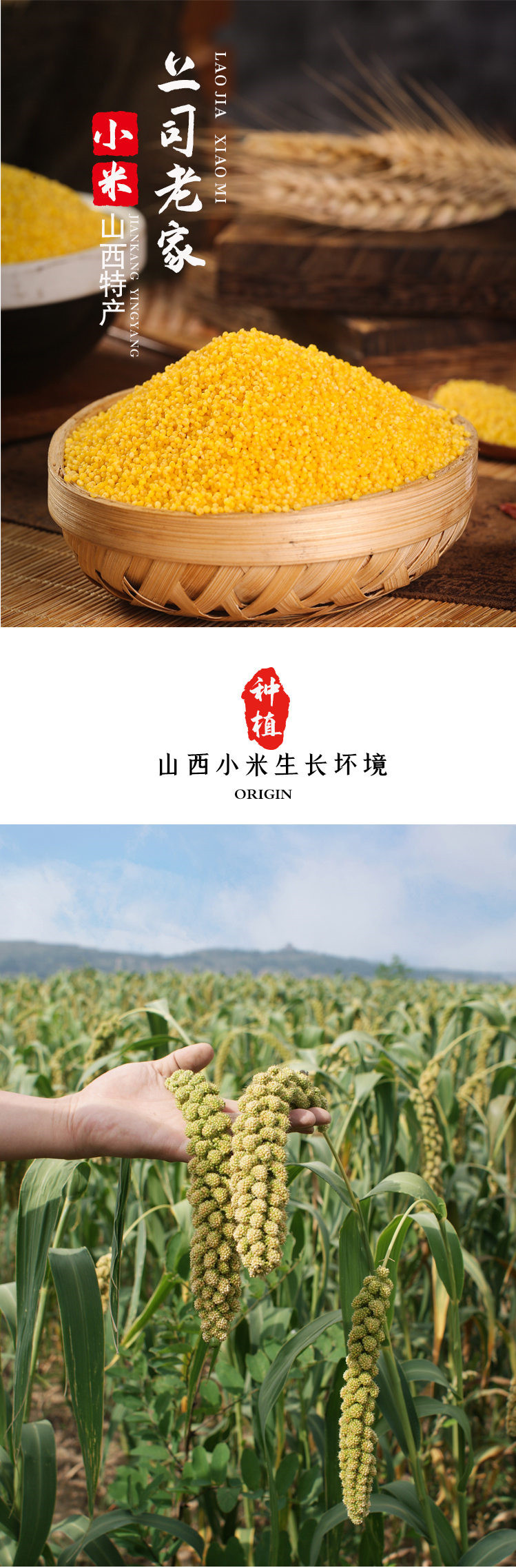 上司老家 黄小米塑料袋带盖2500g