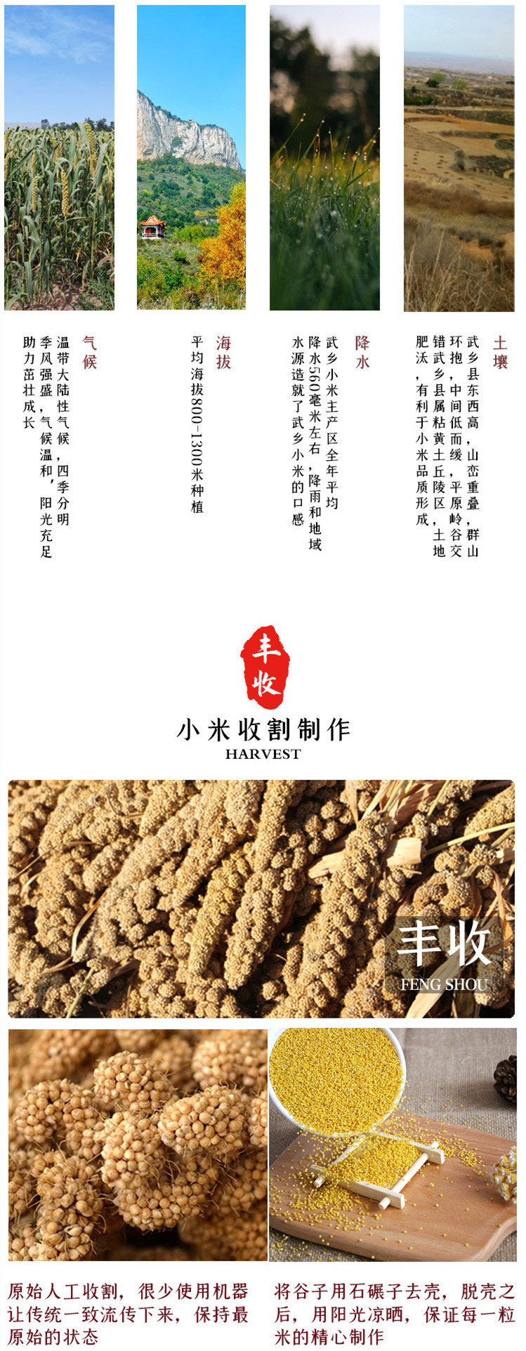 上司老家 黄小米塑料袋带盖2500g