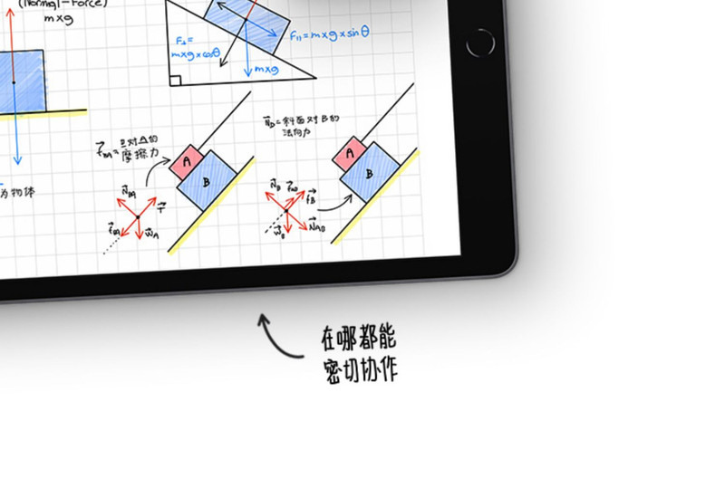 苹果/APPLE iPad（第九代）无线局域网机型