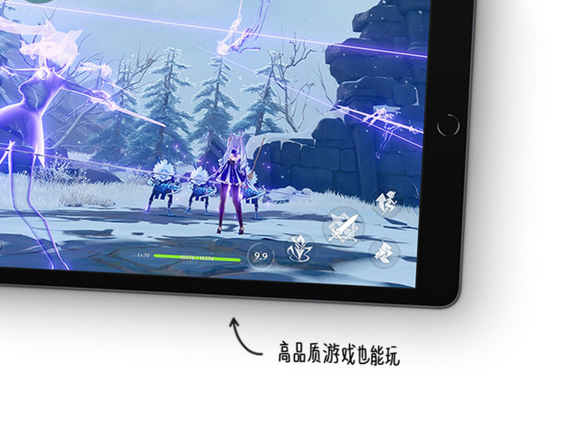 苹果/APPLE iPad（第九代）无线局域网机型