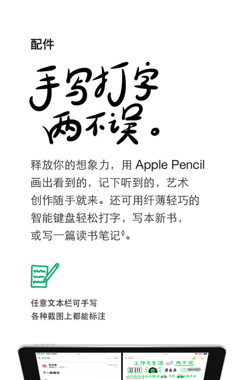 苹果/APPLE iPad（第九代）无线局域网机型