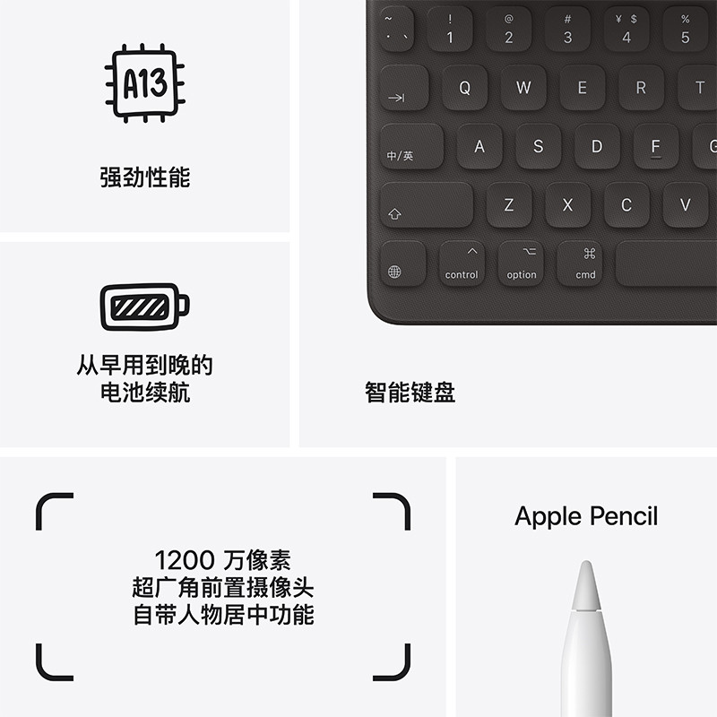 苹果/APPLE iPad（第九代）无线局域网机型