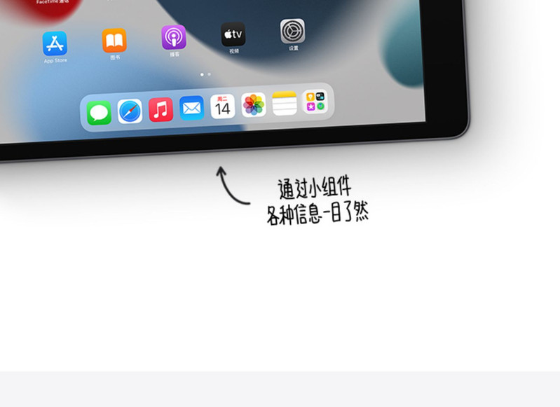 苹果/APPLE iPad（第九代）无线局域网机型