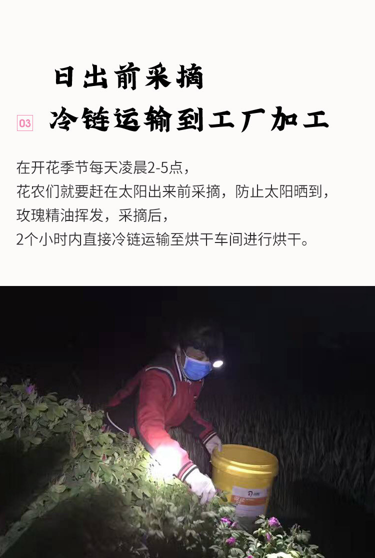 喜善花房 玫瑰花冠茶 干玫瑰泡水泡茶喝玫瑰花茶平阴重瓣玫瑰养生茶