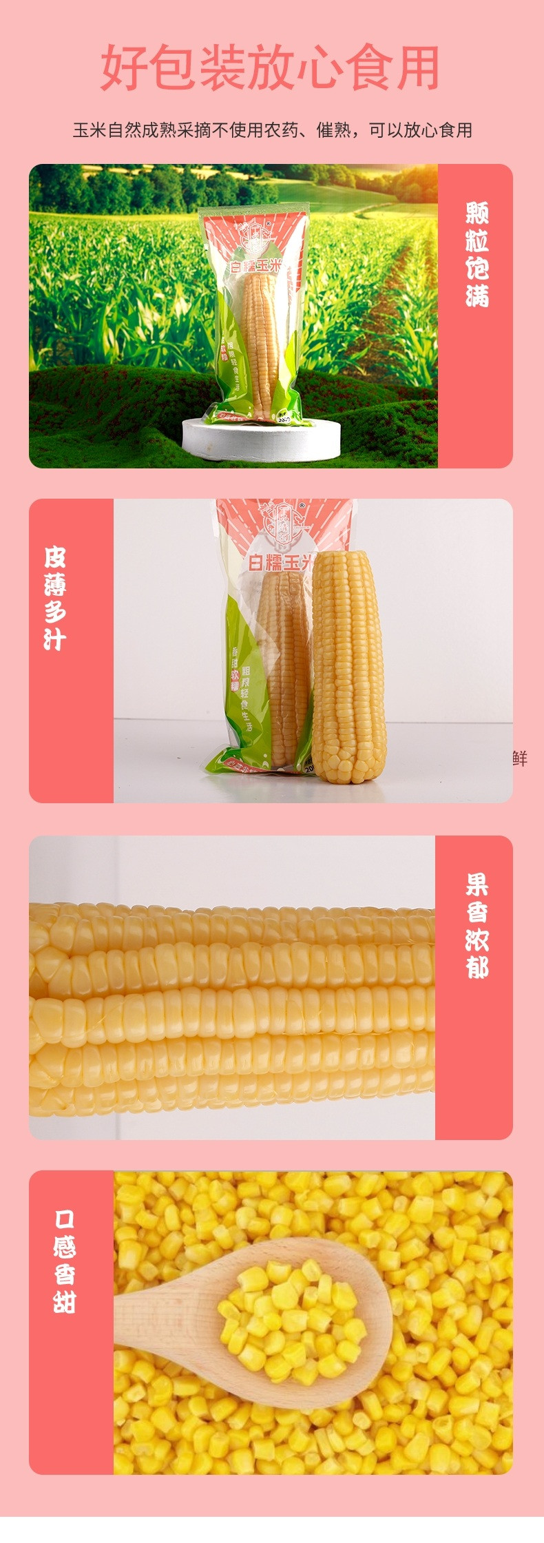 一品清河 白糯玉米 200g*8支 健康速食