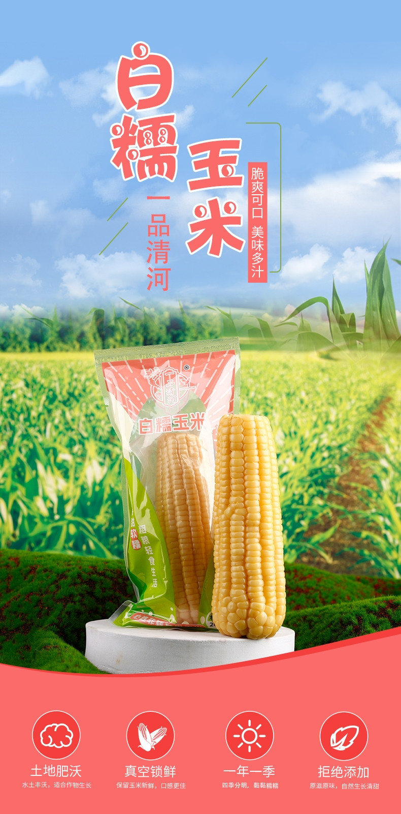 一品清河 白糯玉米 200g*8支 健康速食