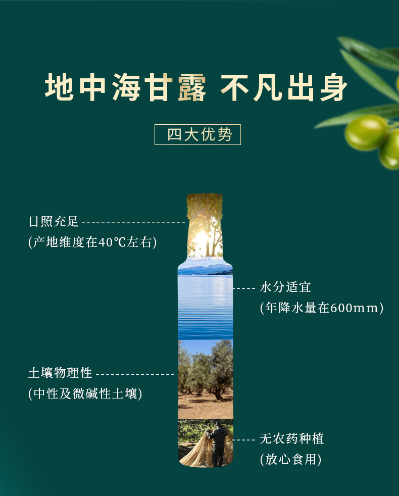 纳福汇 特级初榨橄榄油 500ml 特级初榨