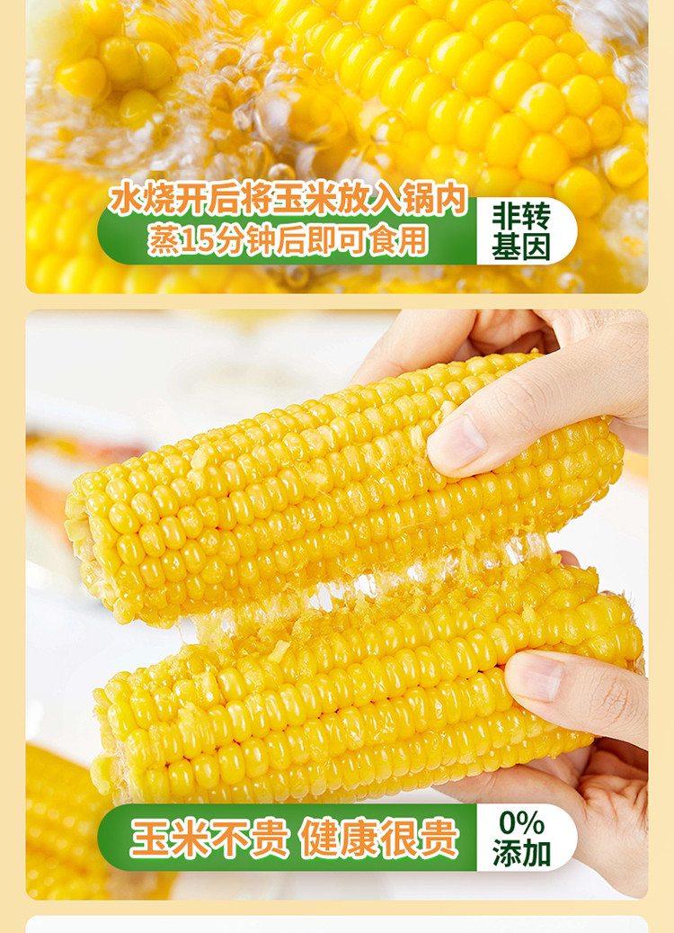 邻家饭香 东北鲜食黄糯玉米 200g/穗 黑土地 黄金玉米 带种植