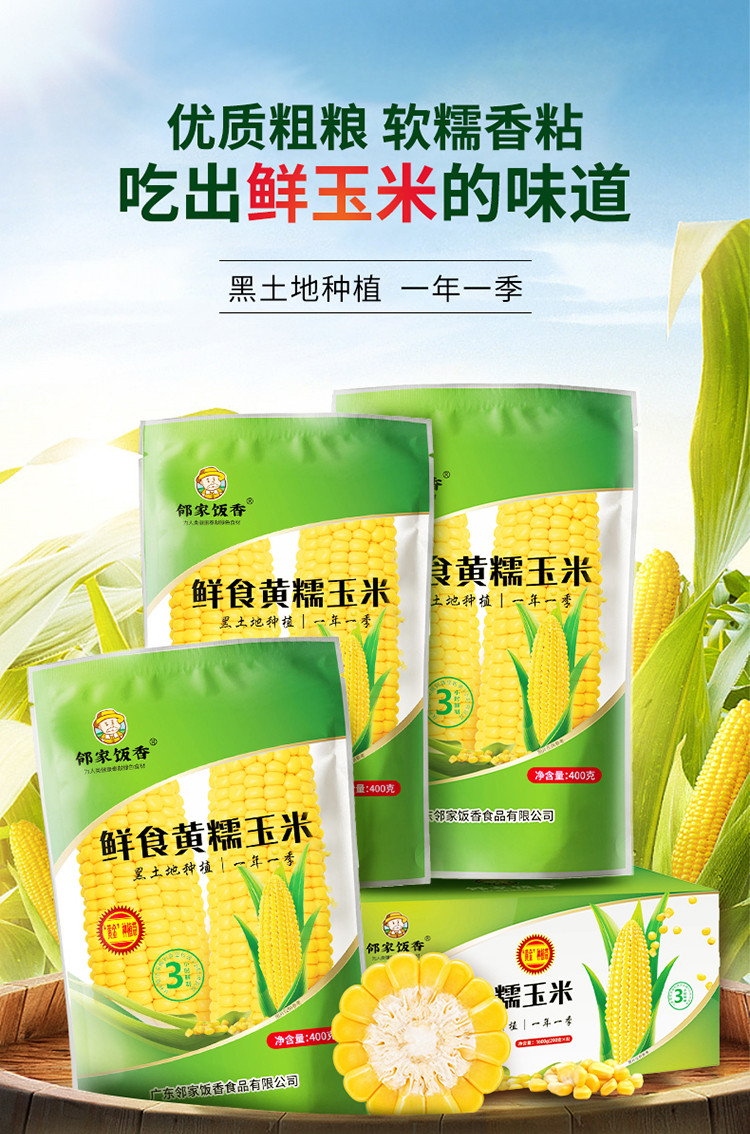 邻家饭香 东北鲜食黄糯玉米 200g/穗 LJFX24-Y