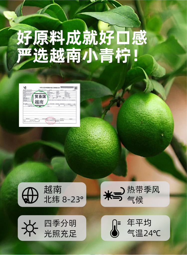 喜善花房 满杯冷榨小青柠汁 252g/盒*3 鲜榨冲泡果汁