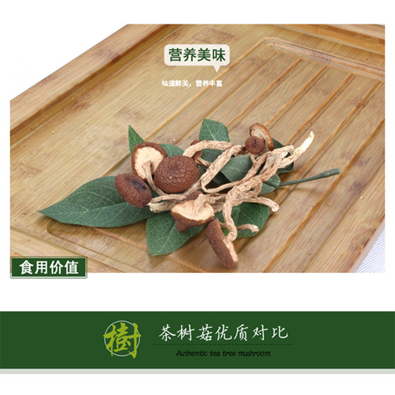 野居农业 【消费帮扶】精品茶树菇