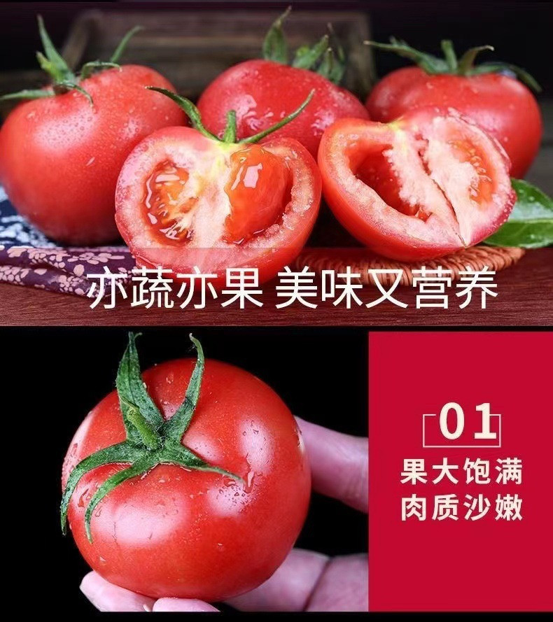 沃丰沃 新鲜普罗旺斯西红柿【2斤】现摘现发沙瓤水果番茄新鲜生吃西红柿