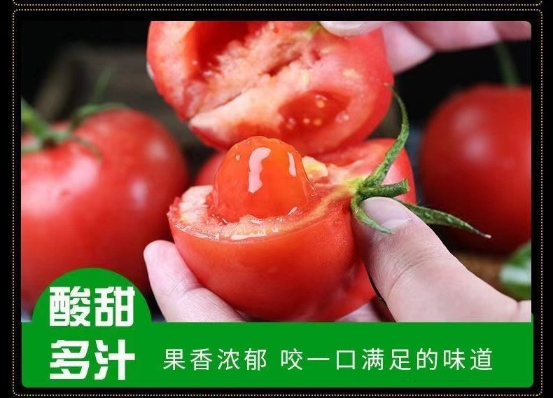 鲜小盼 【助农】普罗旺斯西红柿 2斤 番茄沙瓤酸甜多汁新鲜蔬菜