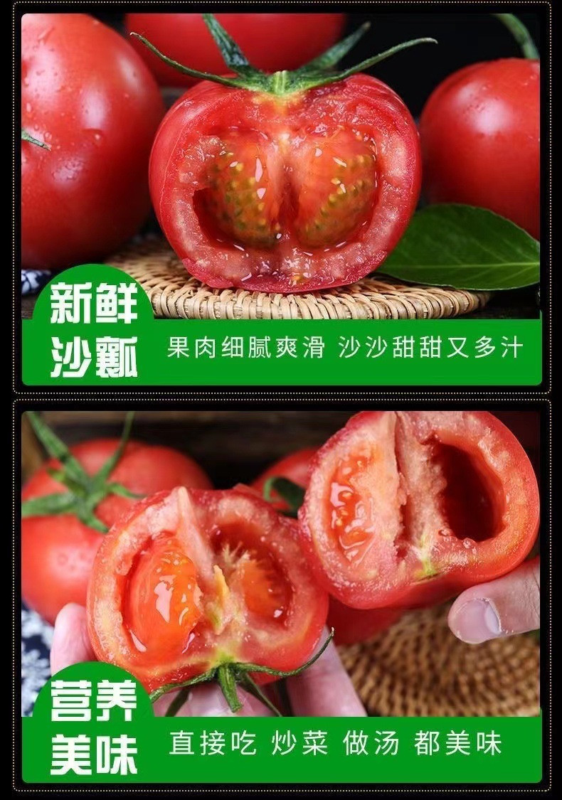 沃丰沃 新鲜普罗旺斯西红柿【2斤】现摘现发沙瓤水果番茄新鲜生吃西红柿