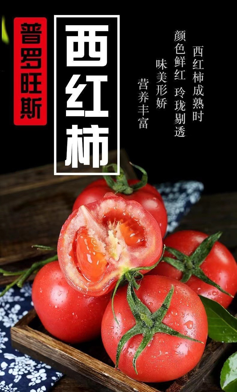 沃丰沃 新鲜普罗旺斯西红柿【2斤】现摘现发沙瓤水果番茄新鲜生吃西红柿