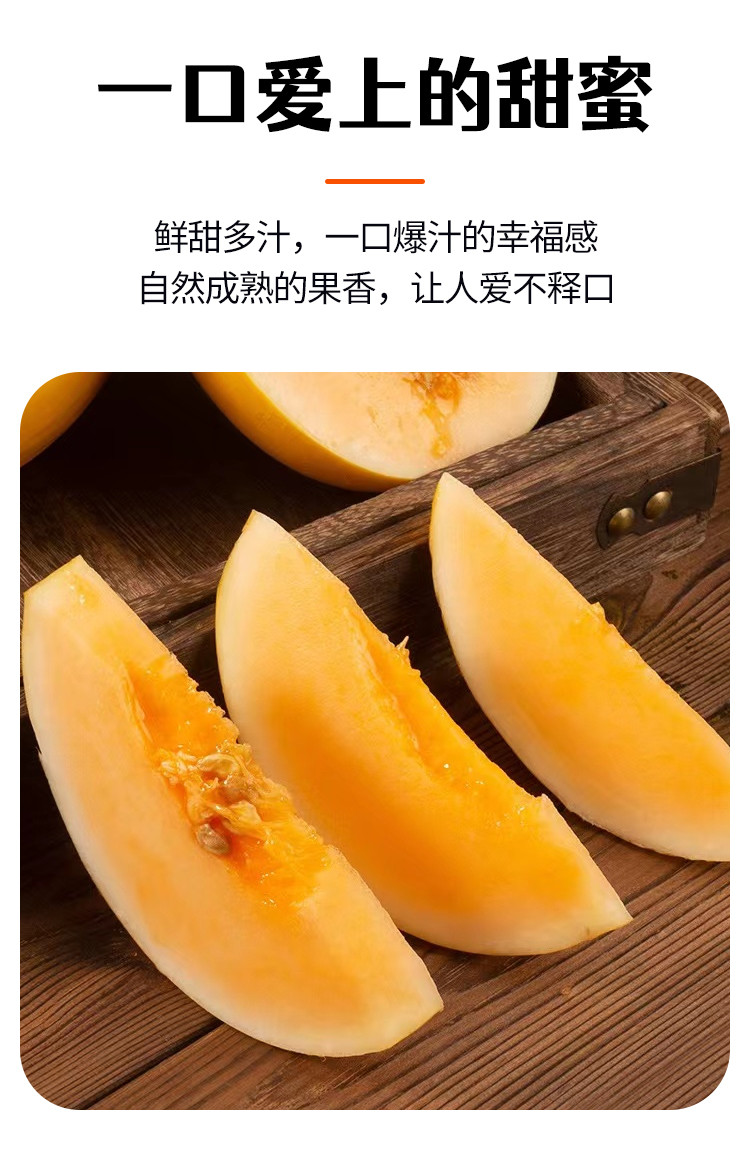 沃丰沃 【助农】陕西黄河蜜甜瓜2斤新鲜水果沙漠红金宝香瓜当季密瓜