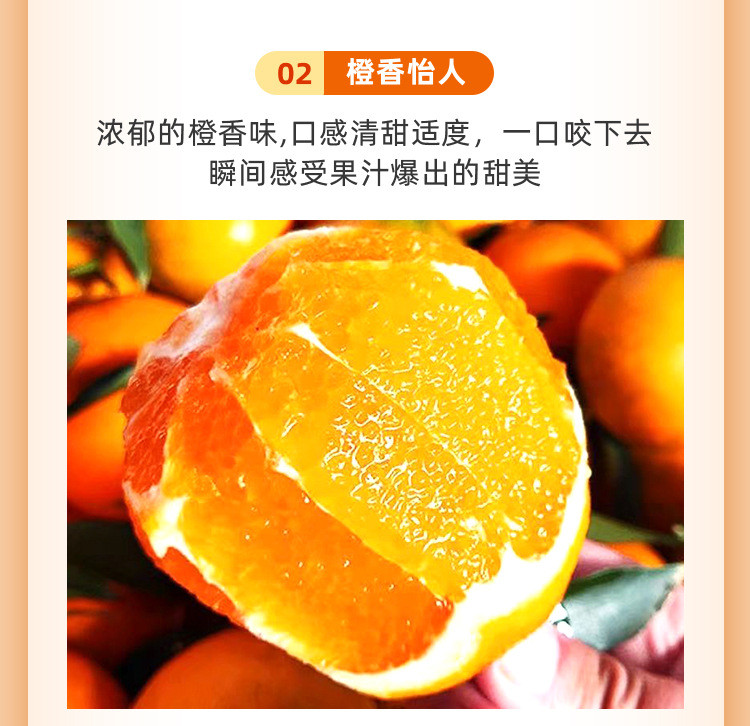 沃丰沃 【助农】湖北秭归伦晚脐橙9斤新鲜橙子现摘当季水果手剥冰糖果冻