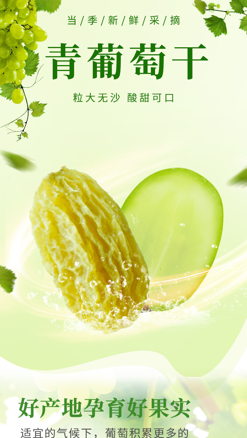 西瓜味的童话 新疆风味特产【500g/装】大颗粒绿葡萄干办公室休闲零食年货