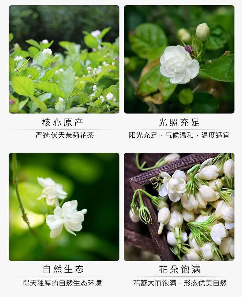 沃丰沃 正宗横县茉莉花茶2024新茶浓香型茉莉250g飘雪茶叶