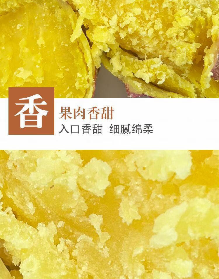 沃丰沃 当季正宗板栗红薯现挖新鲜红皮黄心地瓜番薯【5斤中果】农家自种