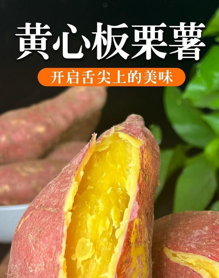 沃丰沃 当季正宗板栗红薯现挖新鲜红皮黄心地瓜番薯【5斤中果】农家自种