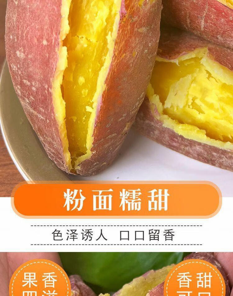 沃丰沃 当季正宗板栗红薯现挖新鲜红皮黄心地瓜番薯【5斤中果】农家自种