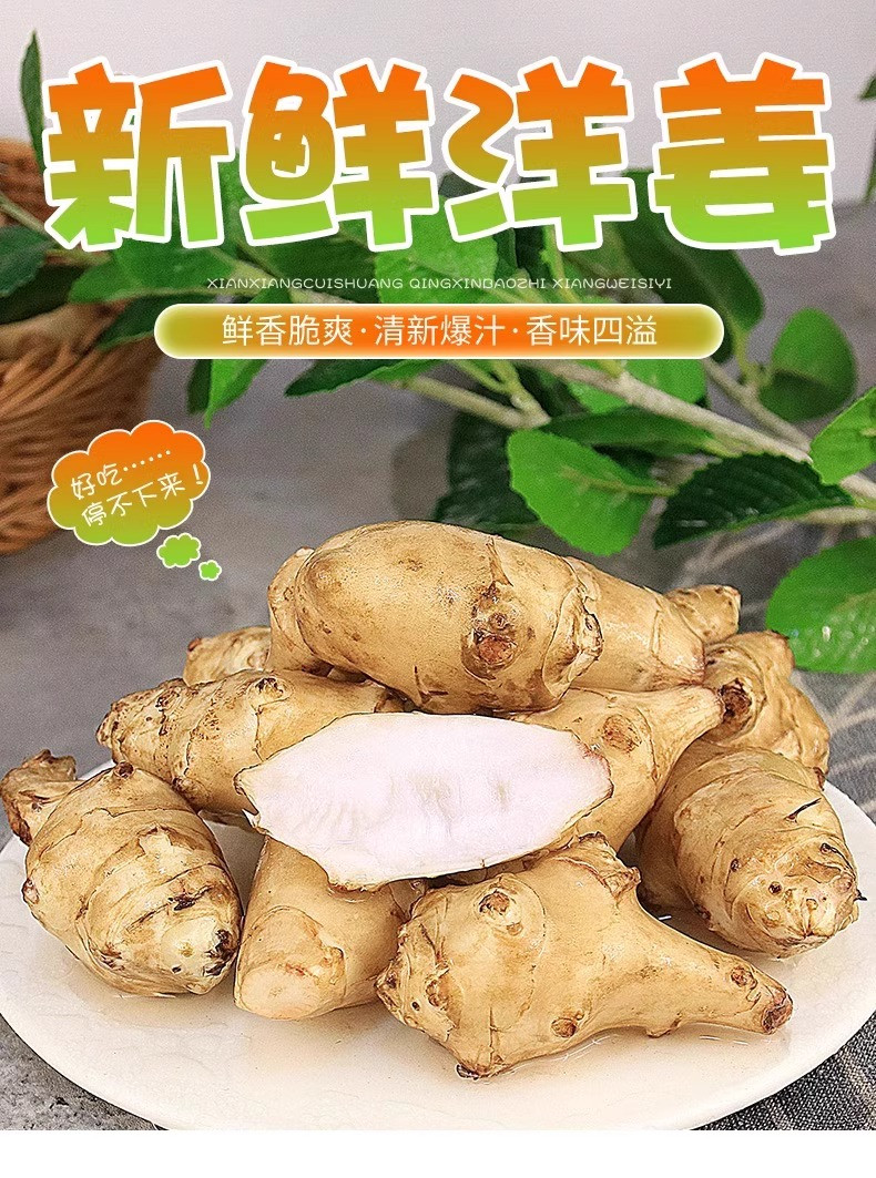 沃丰沃 新鲜现挖洋姜【1斤】野鬼子姜蔬菜酱泡菜产地直销菊芋生洋姜