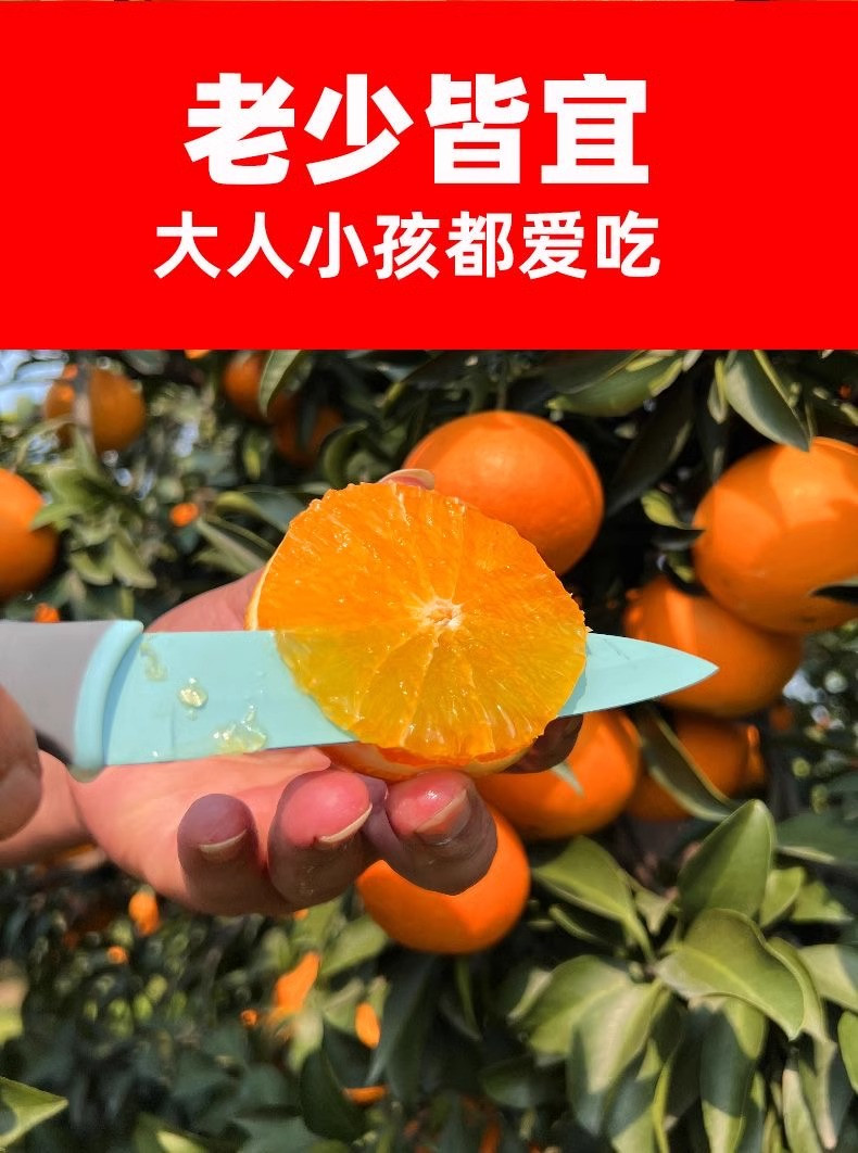 沃丰沃 爱媛38号果冻橙新鲜橙子3斤水果当季整箱应季甜橙