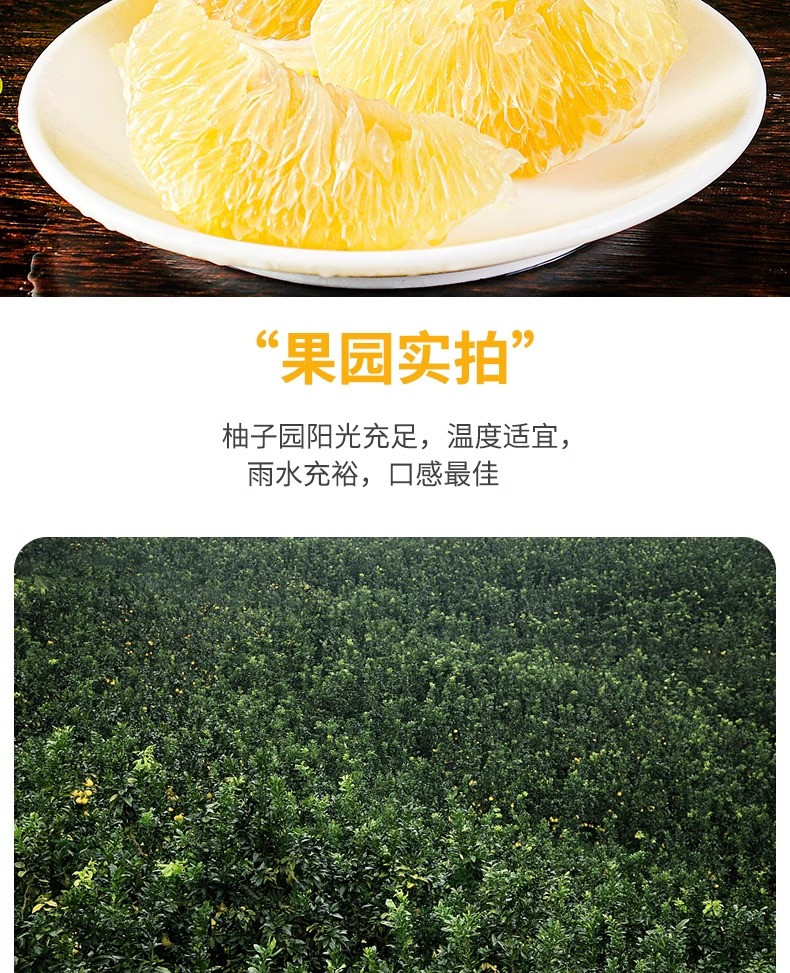 沃丰沃 新鲜当季水果黄金葡萄柚子【9斤】黄心蜜柚果饮甜西柚爆汁