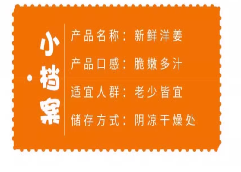 沃丰沃 新鲜现挖洋姜【1斤】野鬼子姜蔬菜酱泡菜产地直销菊芋生洋姜